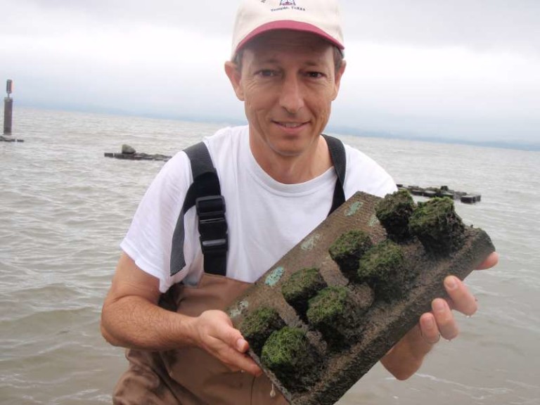 Dr. Wolfe harvesting periphyton samples from Lake Shinji in Shimane, Japan
