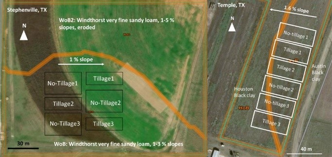 Sample maps of field experiments in Temple and Stephenville.