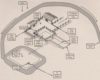 Figure 1. Small livestock yard runoff management system.